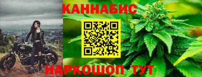 меф Гатчина