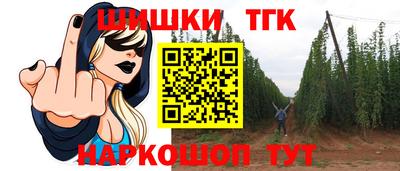 меф Гатчина