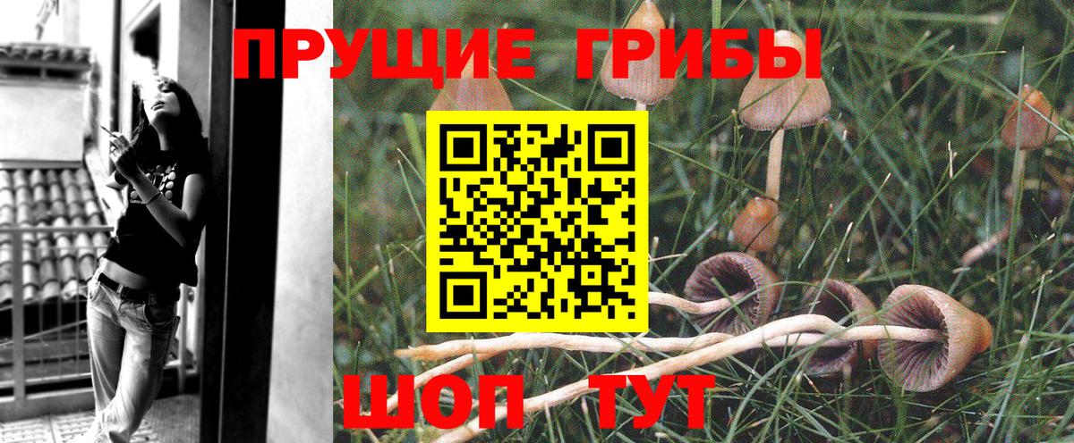 Скопин  Псилоцибиновые грибы ЛСД  Вход с VPN 